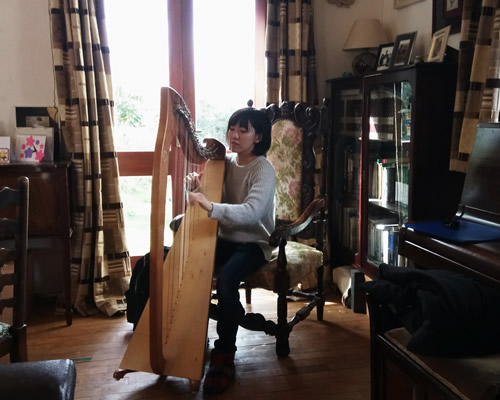 Celtic Harp Lessons